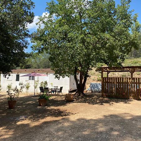 Bungalow Avec Piscine Privative Proche Aix En Provence La Barben 外观 照片